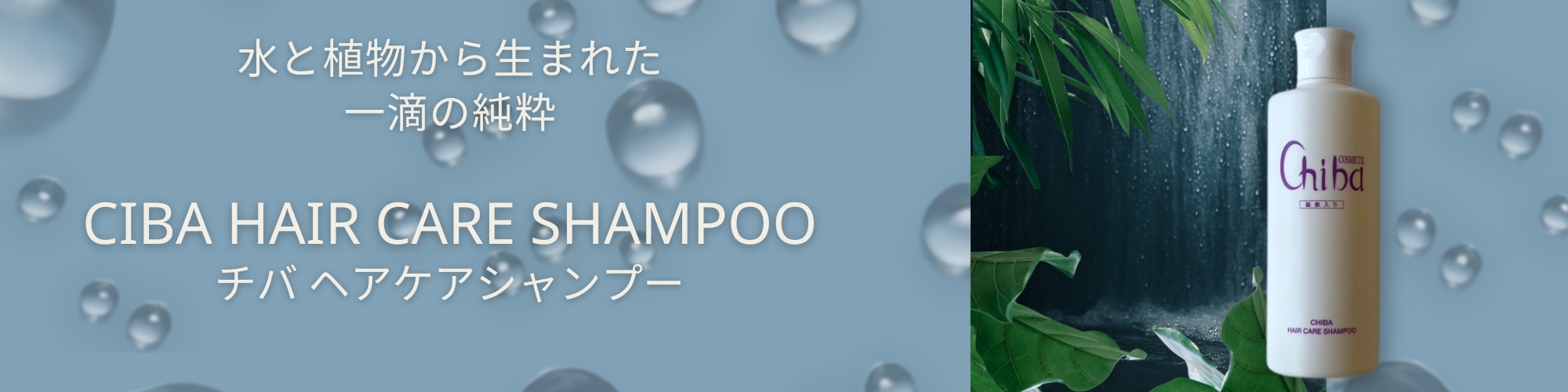 チバシャンプー